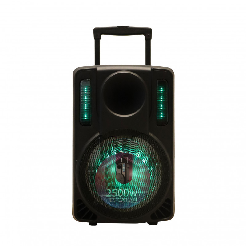 Caja Acustica Electrostar CA1204 250W Bluetooth